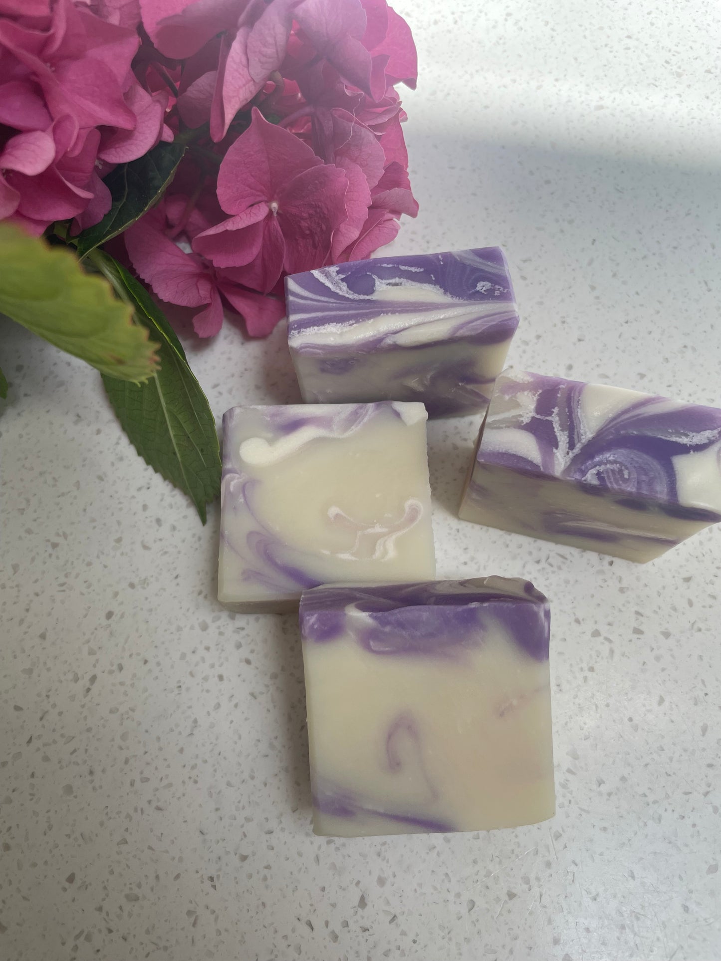 Guest Soaps