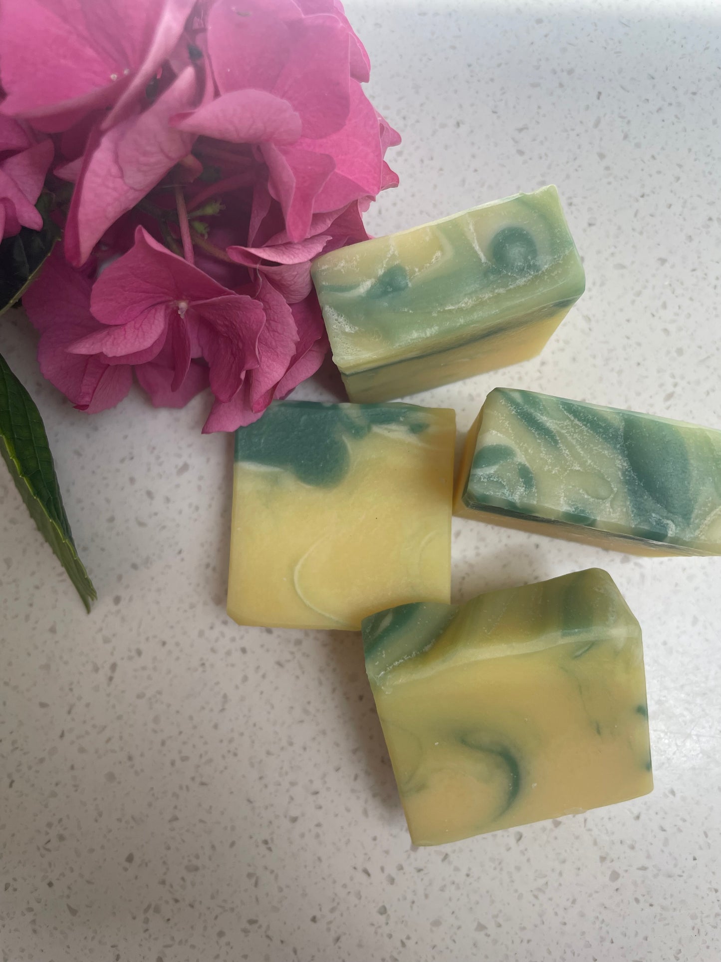 Guest Soaps